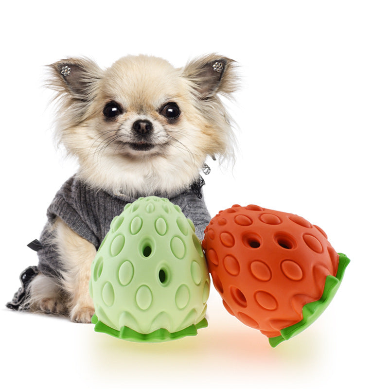 Small dog with two colorful strawberry-shaped dog toys on a white background