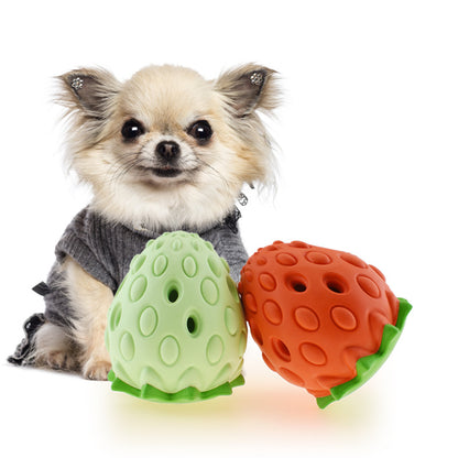 Small dog with two colorful strawberry-shaped dog toys on a white background