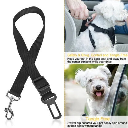 Black pet seat belt with a car seat belt clip, used to secure a dog in a vehicle.