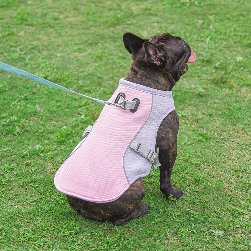 Dog wearing a pink and gray harness on a grassy field