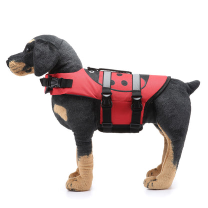 Dog wearing a red life jacket on a white background