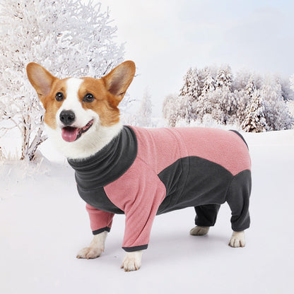 Dog wearing a pink and black onesie standing in the snow with trees in the background