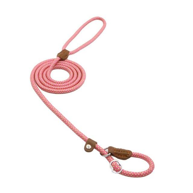 Pink dog leash with brown leather accents on a white background