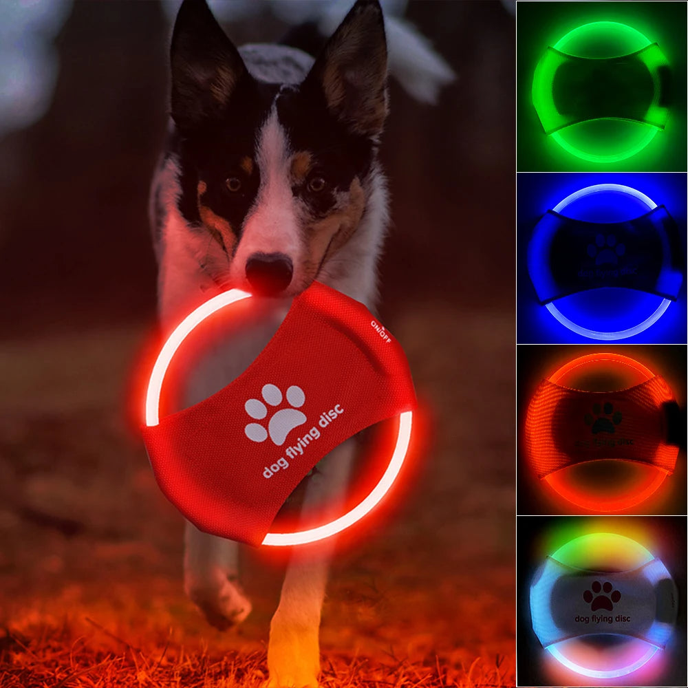 Dog Toys