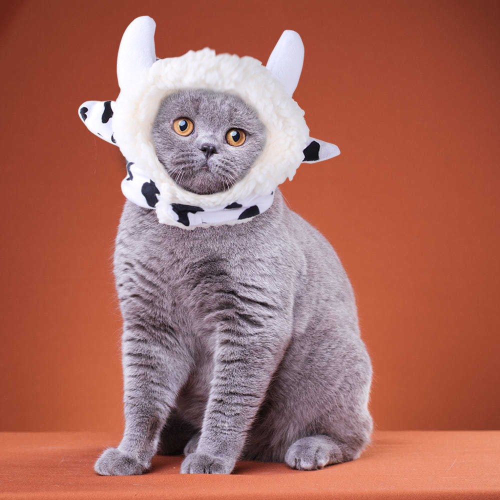 Cat wearing a fluffy creature hat with horns on an orange background