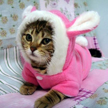 Cat wearing a pink bunny costume on a bed