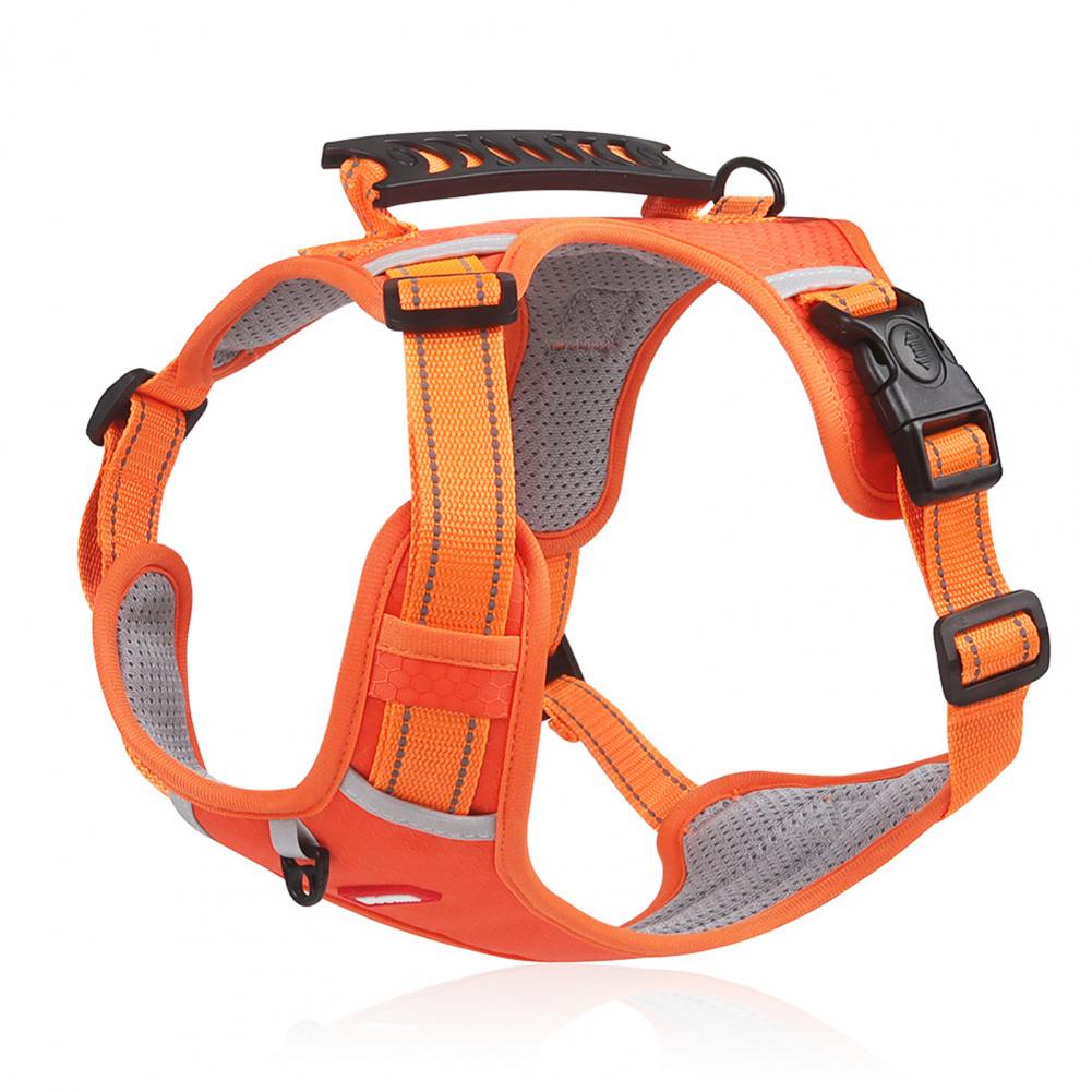 Orange dog harness with black straps on a white background