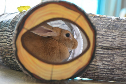 Small rabbit peeking out from a wooden tunnel