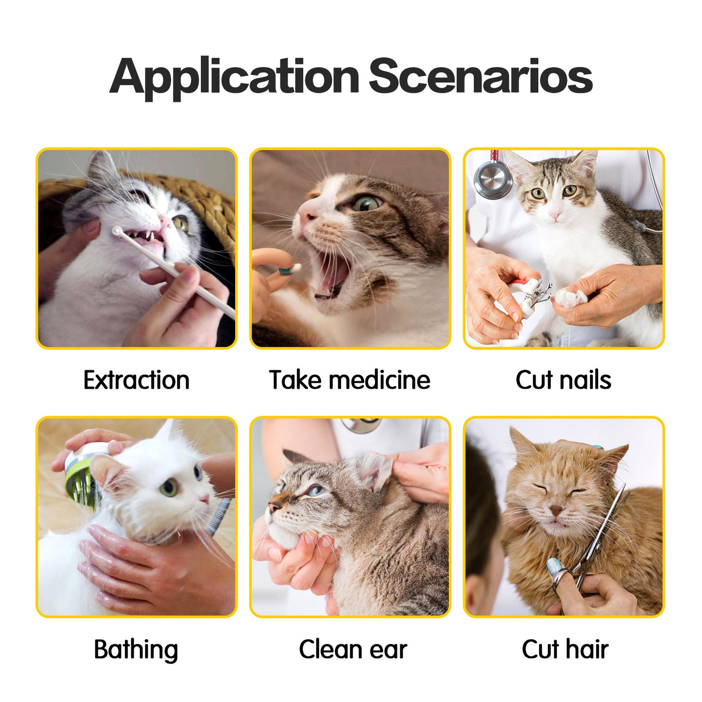 Application scenarios for pet care with images of cats being groomed and treated.
