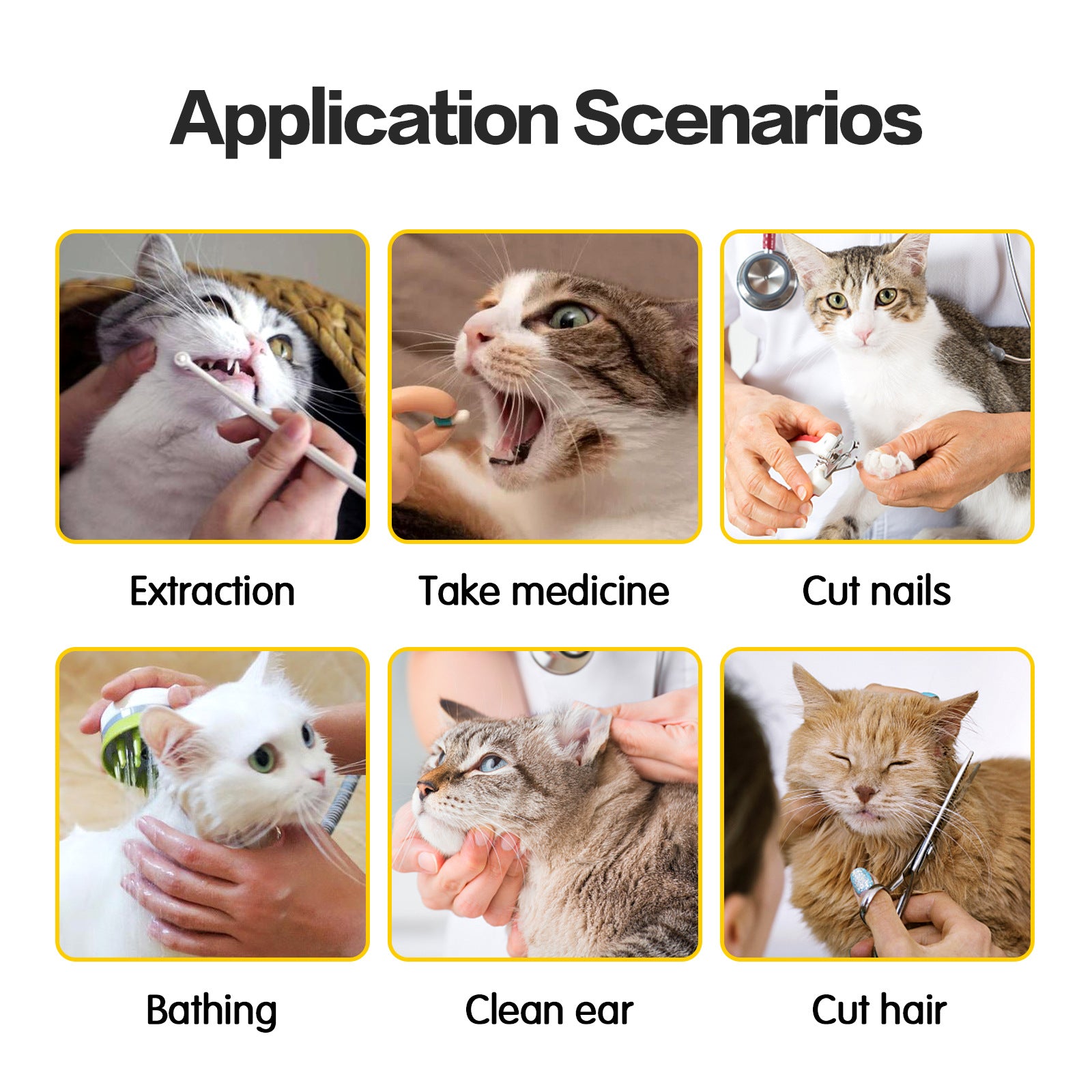 Application scenarios for pet care with images of cats being groomed and treated.