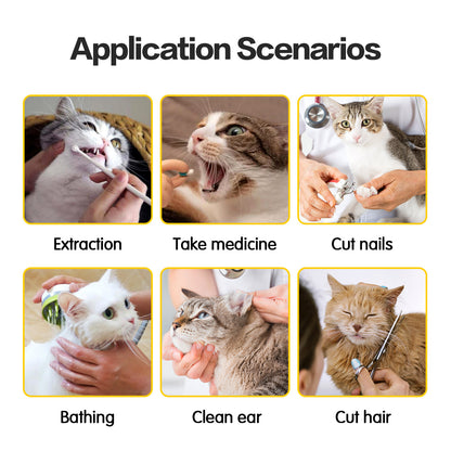 Application scenarios for pet care with images of cats being groomed and treated.