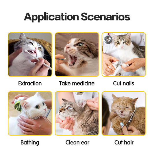Application scenarios for pet care with images of cats being groomed and treated.