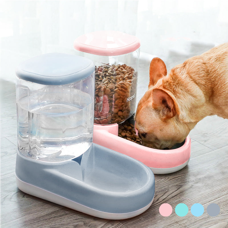 Pet feeding station with water bottle and food bowl on a wooden floor.