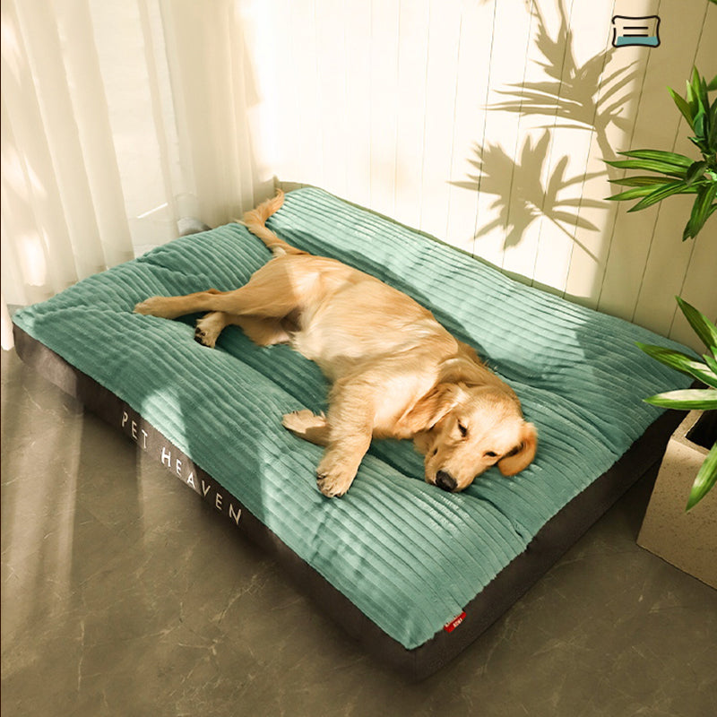 Dog lying on a green pet bed with 'Pet Heaven' branding in a room with curtains and a plant.
