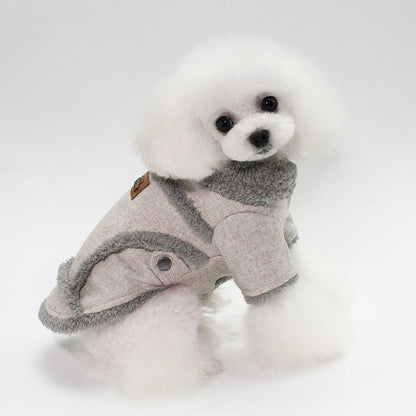 Small white dog wearing a gray fleece coat on a white background