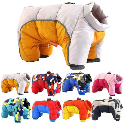 Collection of colorful dog winter jackets on a white background