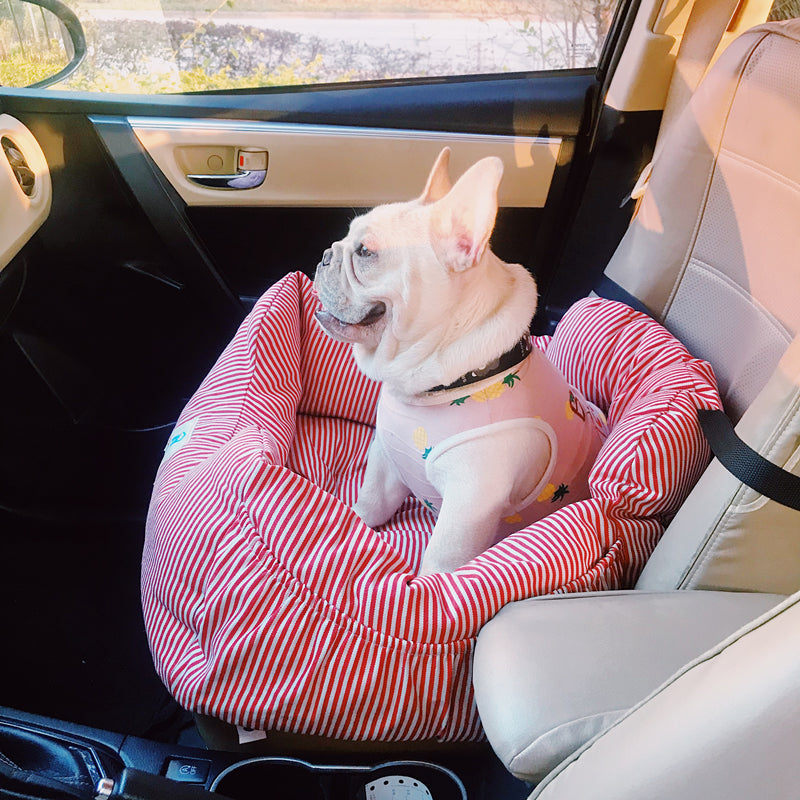 Dog sitting in a red and white striped pet seat in a car
