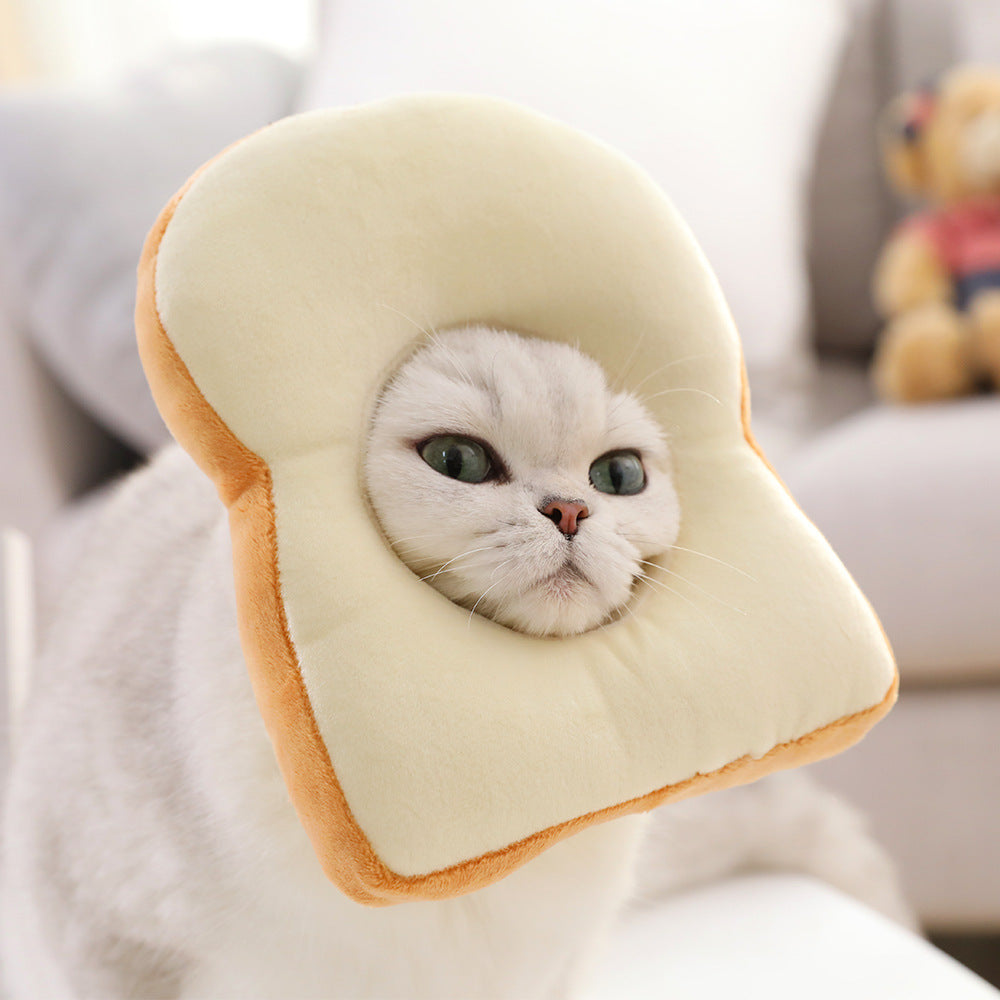 Cat wearing a bread-shaped hat with a soft focus background