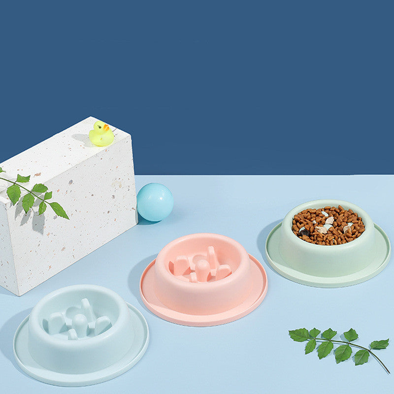 Anti-Choke Slow Feed Pet Bowl