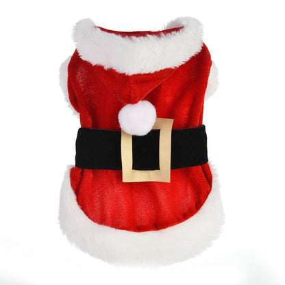 Red Santa dog costume with white pom-pom and gold-tone buckle detail