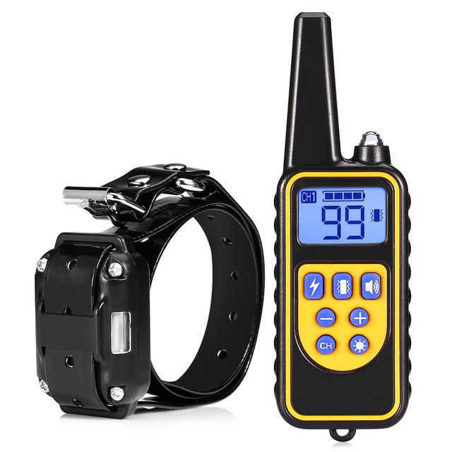 Dog training collar with remote control on a white background