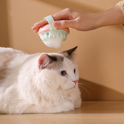 Person holding a small white object near a white cat on a wooden surface with a beige background