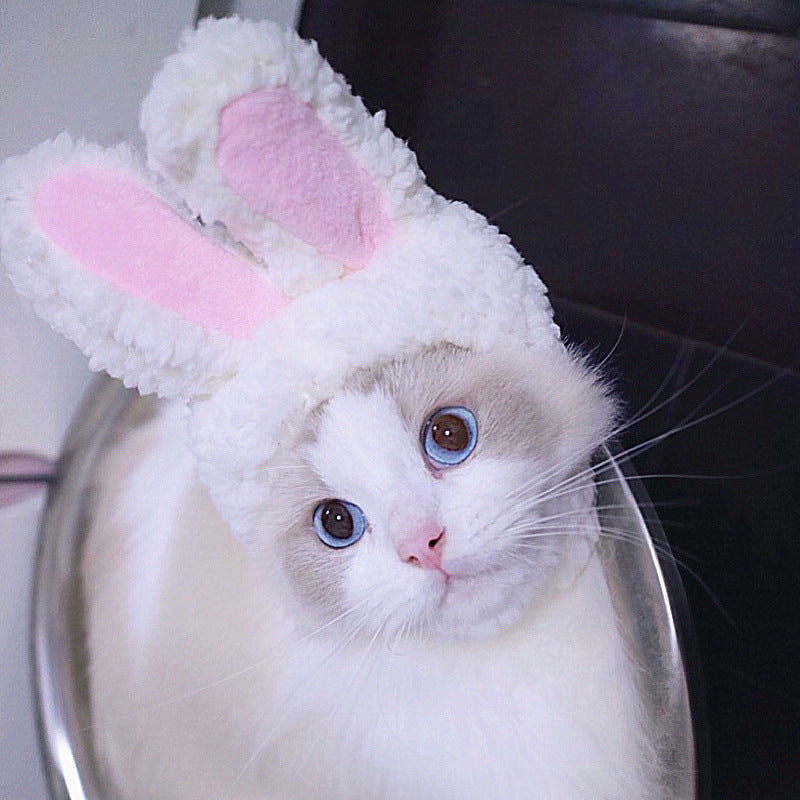 Cat wearing a fluffy bunny hat with pink ears