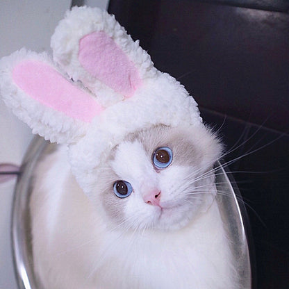 Cat wearing a fluffy bunny hat with pink ears