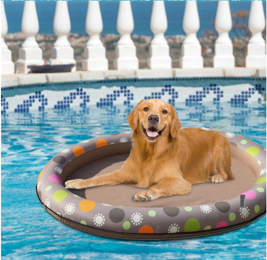 Dog on a circular pool float in a swimming pool with a white fence in the background