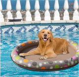 Dog on a circular pool float in a swimming pool with a white fence in the background