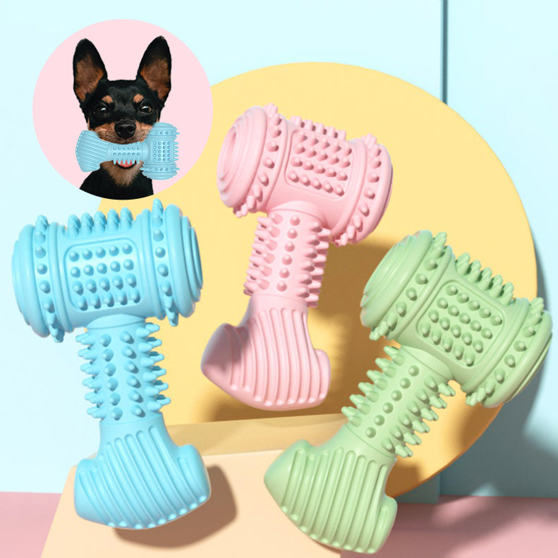 Three dog toys in blue, pink, and green on a colorful background with a dog wearing a blue toy.