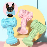Three dog toys in blue, pink, and green on a colorful background with a dog wearing a blue toy.