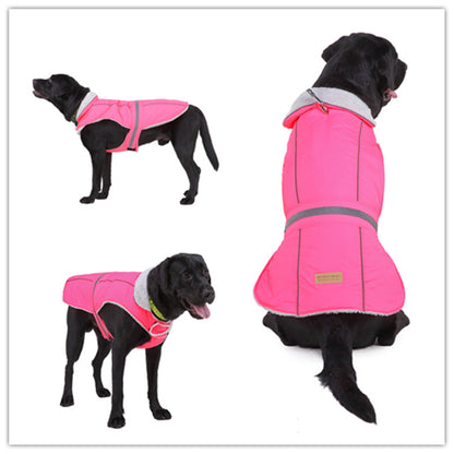 Black dog wearing a pink dog coat with reflective stripes on a white background