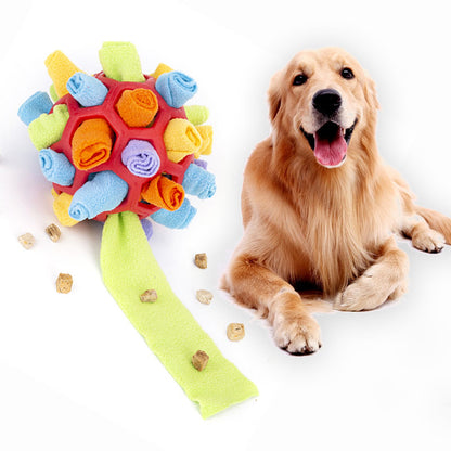 Dog with a colorful textured dog toy on a white background