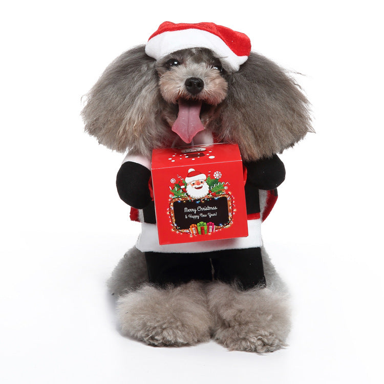 Dog in a Christmas costume with a gift box and Santa hat on a white background