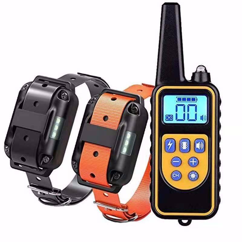 Dog training collar with remote control on a white background