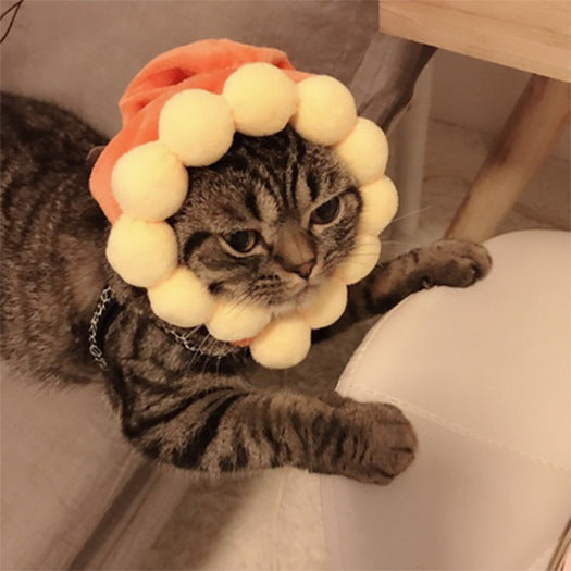 Cat wearing a hat made of white balls on a neutral background
