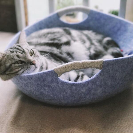 Cat lying in a blue pet bed on a wooden floor.