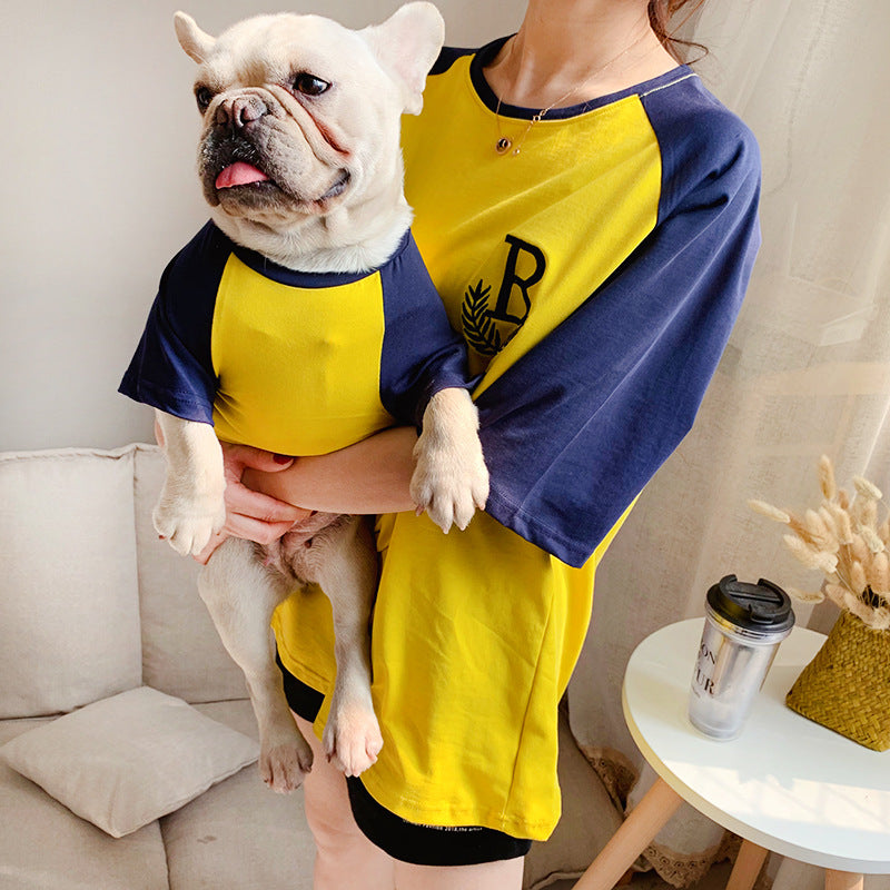 Person wearing a yellow and blue outfit holding a dog in a matching outfit.