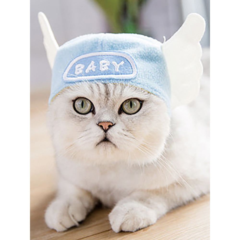 Cat wearing a blue headband with 'BABY' text on a light background