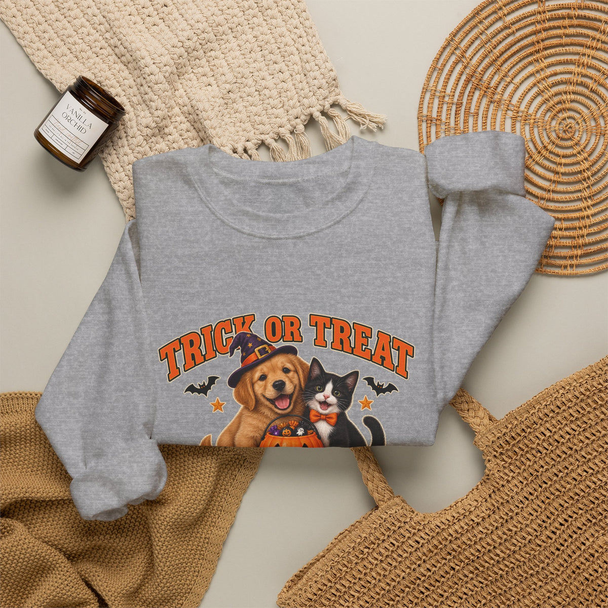 Trick or Treat Crew puppy and kitten Halloween sweatshirt in Sport Grey
