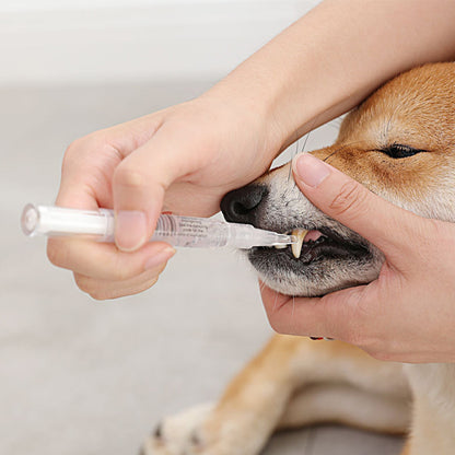 Person administering a pill to a dog using a syringe.