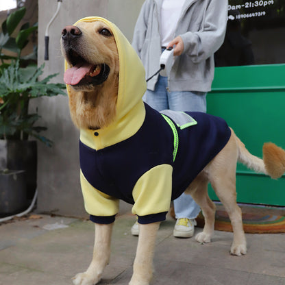 Dog wearing a yellow hoodie with a person in the background