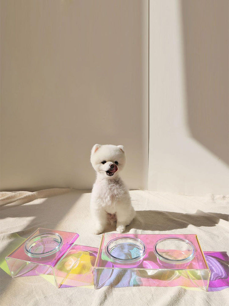 Small white dog sitting on a bed with colorful trays in the foreground