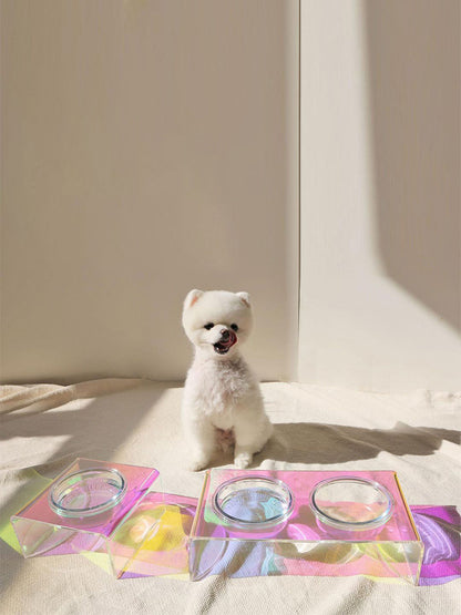 Small white dog sitting on a bed with colorful trays in the foreground