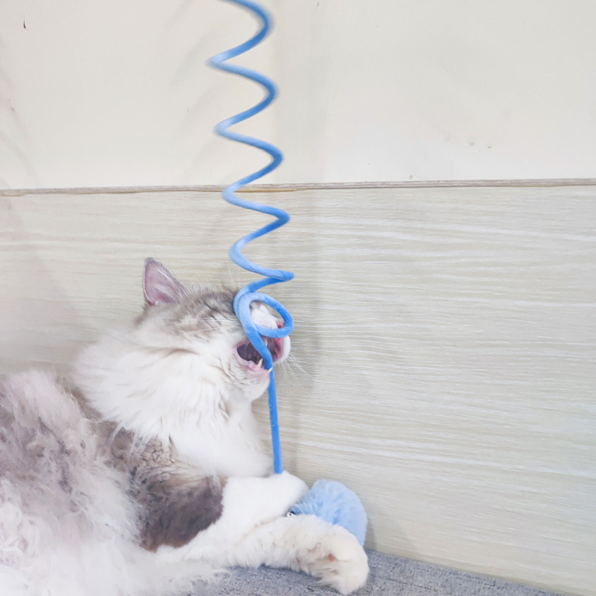 Cat playing with a blue spiral toy against a white wall.