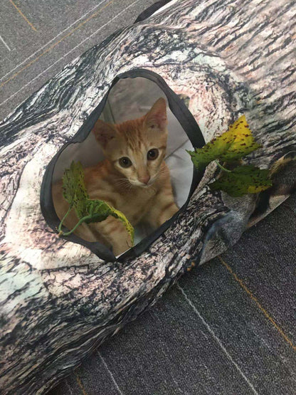 Orange kitten peeking out from a small tunnel inside a log