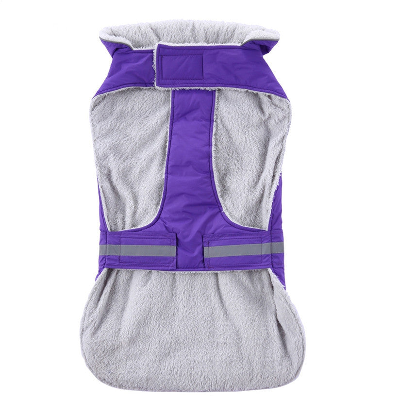 Gray and purple dog coat with reflective strip on a white background