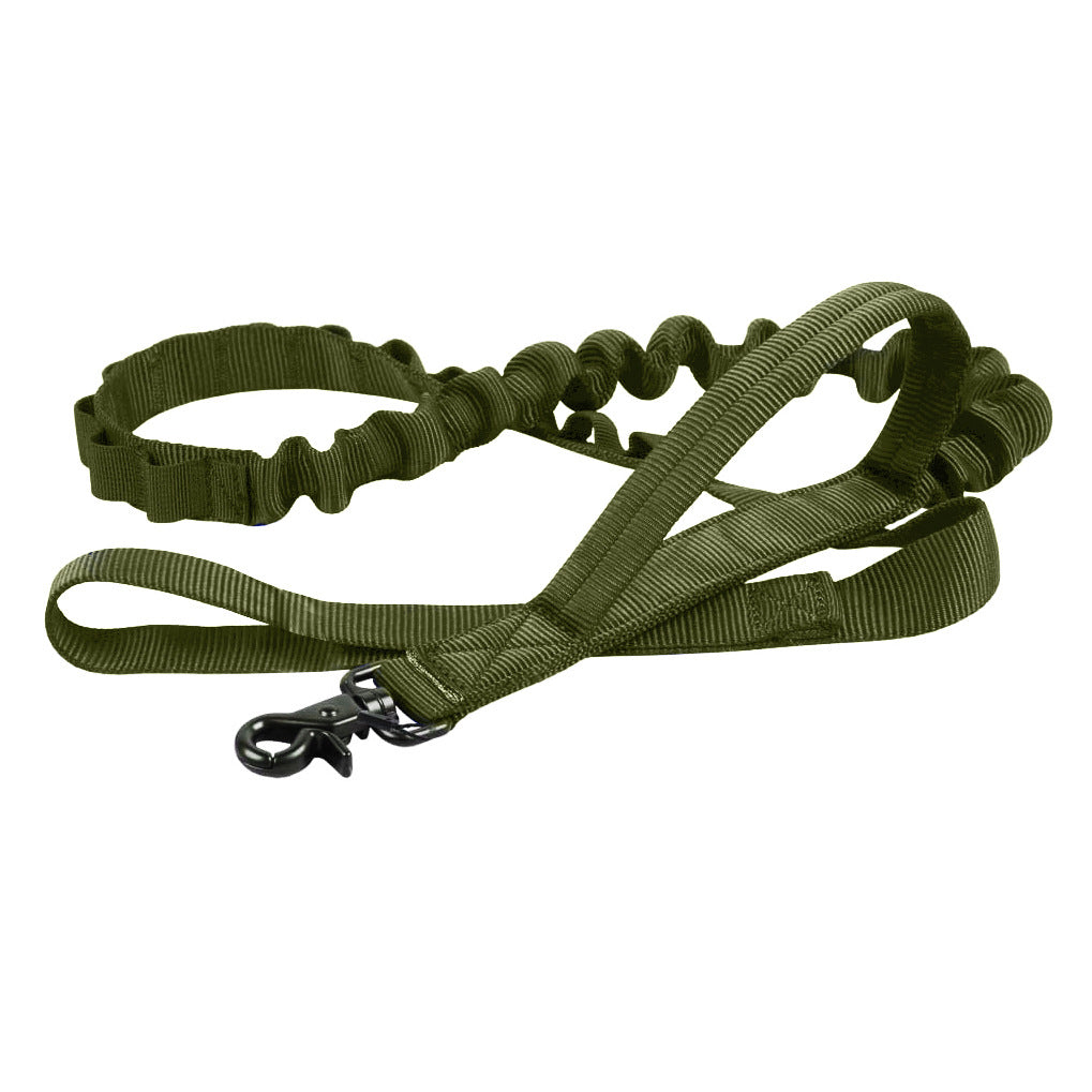 Green bungee dog leash on a white background