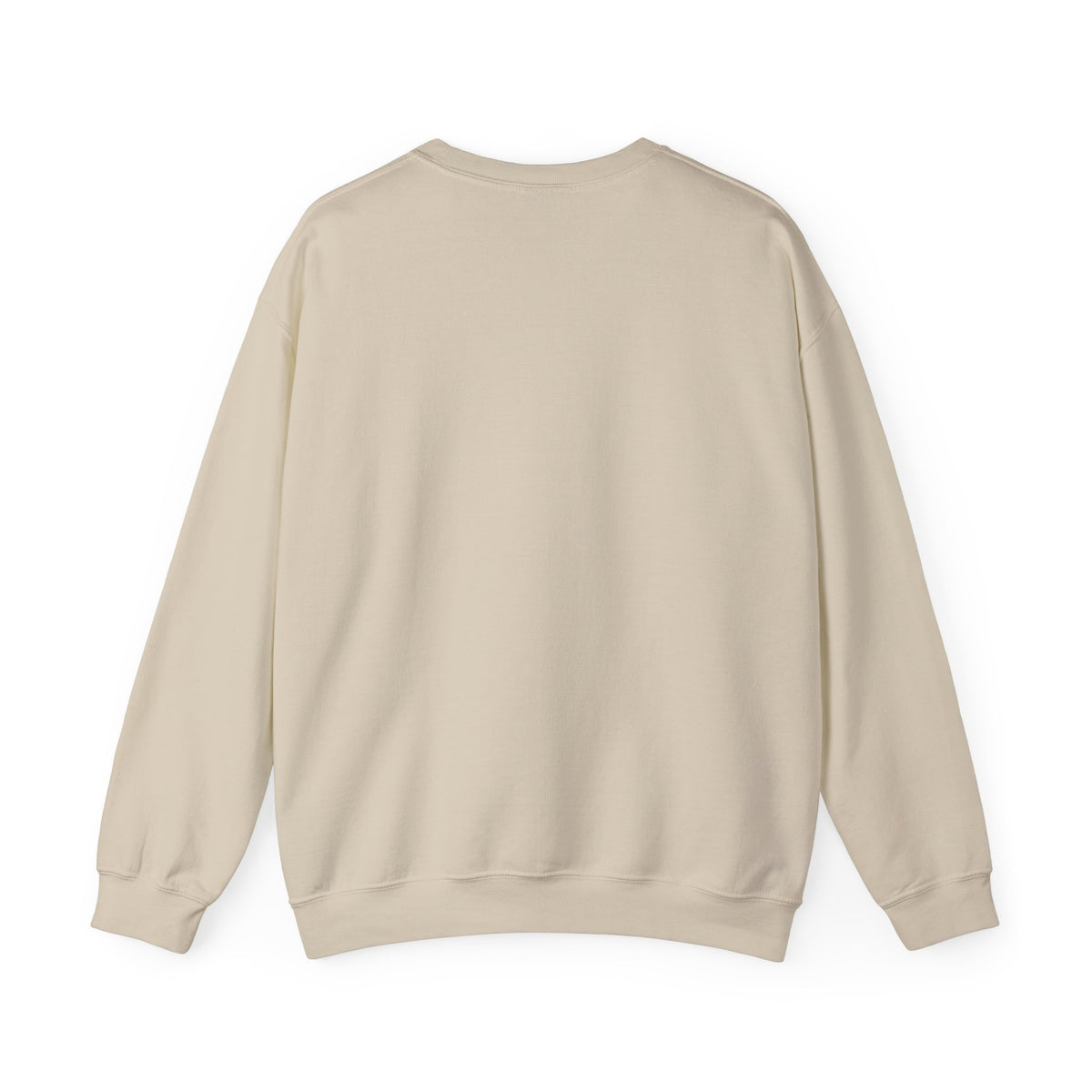 back view of sweatshirt